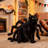 Kitty Costume For Halloween TH10 171105