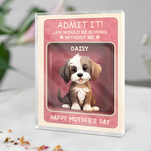 Admit it! Life Would Be Boring Without Me Dog Personalized Acrylic Block Plaque HA75 892324