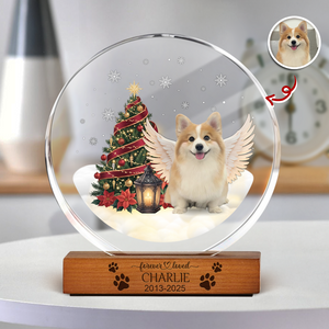 Custom Photo Forever Loved Memorial Dog Cat Round Acrylic Frame Block HA75 898008