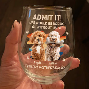 Custom Photo Admit It Life Would Be Boring Without Us Wine Glass HA75 892124