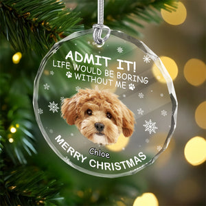 Custom Dog Photo Life Would Be Boring Without Me Glass Ornament For Christmas TH10 896589