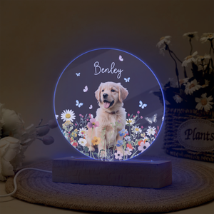 Custom Pet Portrait Photo LED Night Light Gift For Pet Memorial TH10 894487