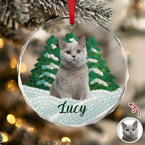 Custom Photo Cat Mosaic Style Glass Ornament Christmas Gift LM32 895049