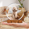 Custom Dog Photo Gift Memorial Round Acrylic Frame Block HO82 894172