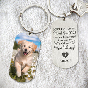 Custom Photo Don't Cry For Me - Memorial Metal Keychain Sympathy Gift, Gift For Pet Owners, Pet Lovers HO82 894494