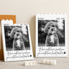 Custom Dog Photo Memorial Building Brick Blocks Gift For Dog Lover CH07 180500