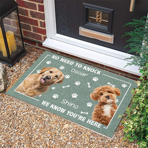 Custom Photo No Need To Knock, We Know You're Here Doormat For Dog Cat Lovers HA75 891936