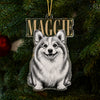 Custom Pet Face Vintage Style Acrylic Ornament LM32 669619