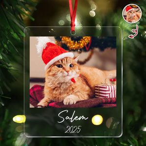 Custom Cat Photo Acrylic Ornament Christmas Gift For Cat Lovers LM32 895771