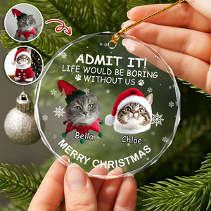 Custom Dog Cat Photo Life Would Be Boring Without Me Glass Ornament For Christmas TH10 894877
