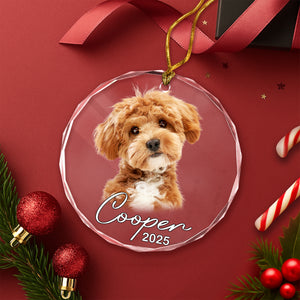Custom Pet Photo Christmas Glass Ornament Gift For Pet Lovers TH10 894775