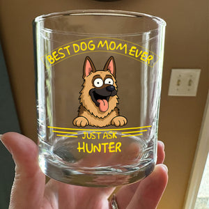 Personalized Best Dog Dad/Mom Ever Print Rock Glass Gift For Dog Lovers HO82 893728