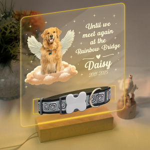 Custom Photo Dog Loss Memorial Acrylic Collar Frame CH07 896072
