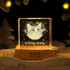 Custom Photo Forever Loved Memorial Dog Cat Engraved Crystal Photo With Light HA75 898214