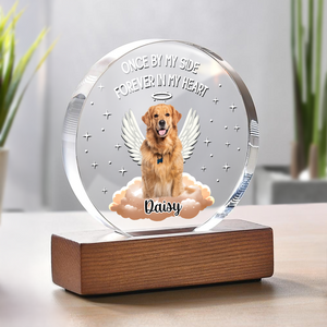 Custom Photo Dog Cat Once By My Side Forever In My Heart Round Acrylic Frame Block HA75 892782