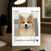 Custom Dog Photo Memorial Building Brick Blocks Gift For Dog Lover CH07 180500
