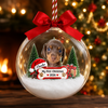 Custom Dog Photo First Christmas 3D Acrylic Ball Ornament CH07 180512