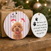 Custom Photo You Were My Favorite Hello And My Hardest Goodbye Pet Memorial Ceramic Ornament LM32 669741