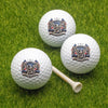 United States Of America Anniversary 250 Years Golf Ball TH10 169255