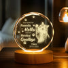 Custom Photo Dog Memorial Engraved Crystal Photo With Light TH10 898177