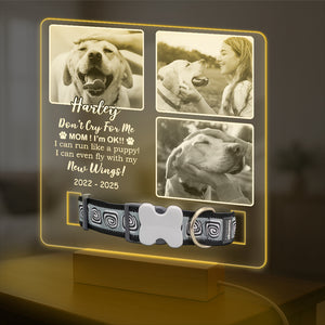 Custom Photo Don't Cry For Me Memorial Acrylic Collar Frame TH10 894109