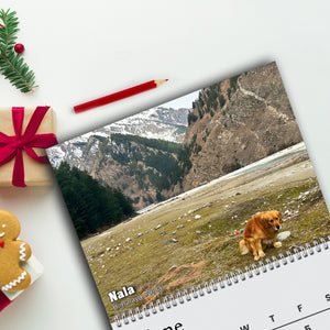 2026 Pooping Pooches Funny Dog Wall Calendar, White Elephant Gag Gift LM32 897307