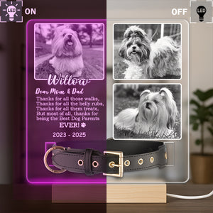 Custom Photo Don't Cry For Me Memorial Acrylic Collar Frame TH10 894109