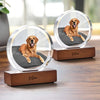 Custom Pet Photo Round Acrylic Frame Block Gift For Dog Lovers, Cat Lovers CH07 896046