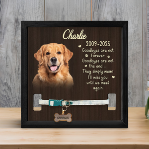 Custom Photo Goodbyes Are Not The End Memorial Square Collar Frame TH10 892719