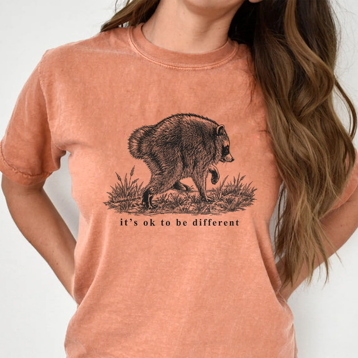 Jimothy Raccoon Comfort Shirt, Famous Seattle Raccoon Shirt Funny Animal Gift CH07 180240
