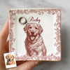 Custom Photo Dog Cat Toile De Jouy Style Jewelry Dish HA75 898320