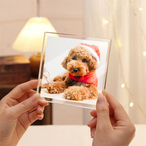 Custom Photo In loving Memory Dog Memorial Wooden & Acrylic Photo Block Set HA75 892700