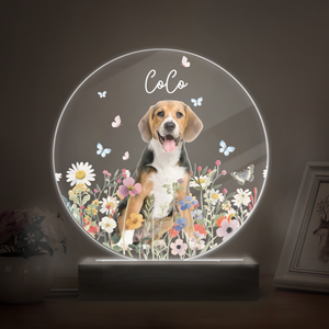 Custom Pet Portrait Photo LED Night Light Gift For Pet Memorial TH10 894487