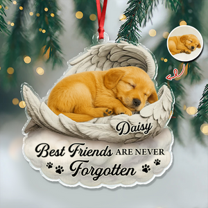 Custom Photo You Would Have Lived Forever Pet Memorial Acrylic Ornament HA75 897122