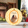 Custom Pet Photo Vintage Ceramic Ornament Gift For Pet Lovers LM32 669755
