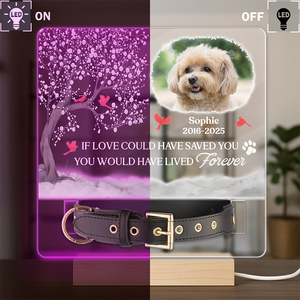 You Were My Favorite Hello And My Hardest Goodbye - Custom Pet Memorial Acrylic Collar Frame CH07 896082