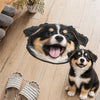Custom Funny Face Dog Cat Doormat Custom Shape CH07 180204