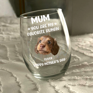 Custom Face Dog Cat - Mom, You’re My Favorite Human Wine Glass HA75 892944