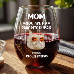 Custom Face Dog Cat - Mom, You’re My Favorite Human Wine Glass HA75 892944
