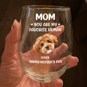 Custom Face Dog Cat - Mom, You’re My Favorite Human Wine Glass HA75 892944
