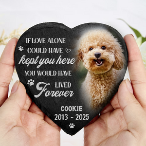 Custom Photo You Would Have Lived Forever Pet Memorial Heart Shaped Stone With Stand HA75 891212