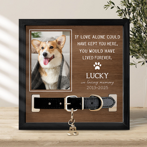 Custom Photo You Were My Favorite Hello And My Hardest Goodbye Memorial Square Collar Frame TH10 892651