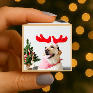 Custom Dog Photo Merry Christmas Cube Ornament For Dog Lover TH10 894523