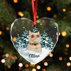 Custom Photo Cat Heart Shaped Glass Ornament For Christmas HA75 897242