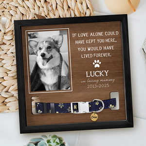 Custom Photo You Were My Favorite Hello And My Hardest Goodbye Memorial Square Collar Frame TH10 892651
