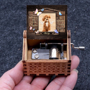 Custom Photo Best Friends Are Never Forgotten Dog Memorial Music Box LM32 893201