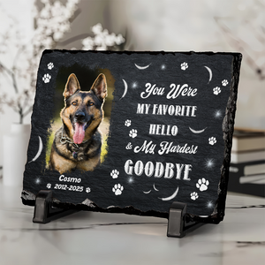 You Were My Favorite Hello Custom Dog Cat in Heaven Photo Rectangle Shaped Stone With Stand Memorial Gift CH07 895482