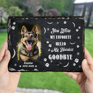 You Were My Favorite Hello Custom Dog Cat in Heaven Photo Rectangle Shaped Stone With Stand Memorial Gift CH07 895482