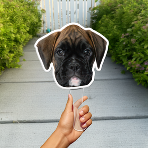 Custom Photo Funny Dog - Big Head Photo Face Fan HA75 892018