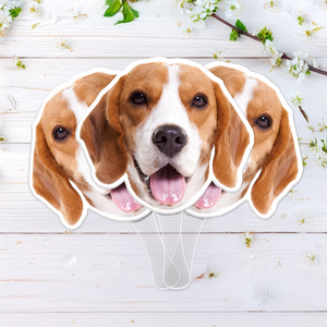 Custom Photo Funny Dog - Big Head Photo Face Fan HA75 892018